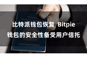 比特派钱包恢复 Bitpie钱包的安全性备受用户信托