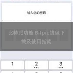 比特派功能 Bitpie钱包下载及使用指南