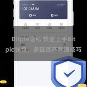 Bitpie隐私 快速上手Bitpie钱包，多链资产管理技巧