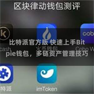 比特派官方版 快速上手Bitpie钱包，多链资产管理技巧