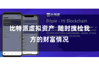 比特派虚拟资产  随时搜检我方的财富情况
