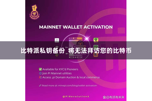 比特派私钥备份  将无法拜访您的比特币