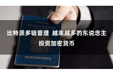 比特派多链管理  越来越多的东说念主投资加密货币