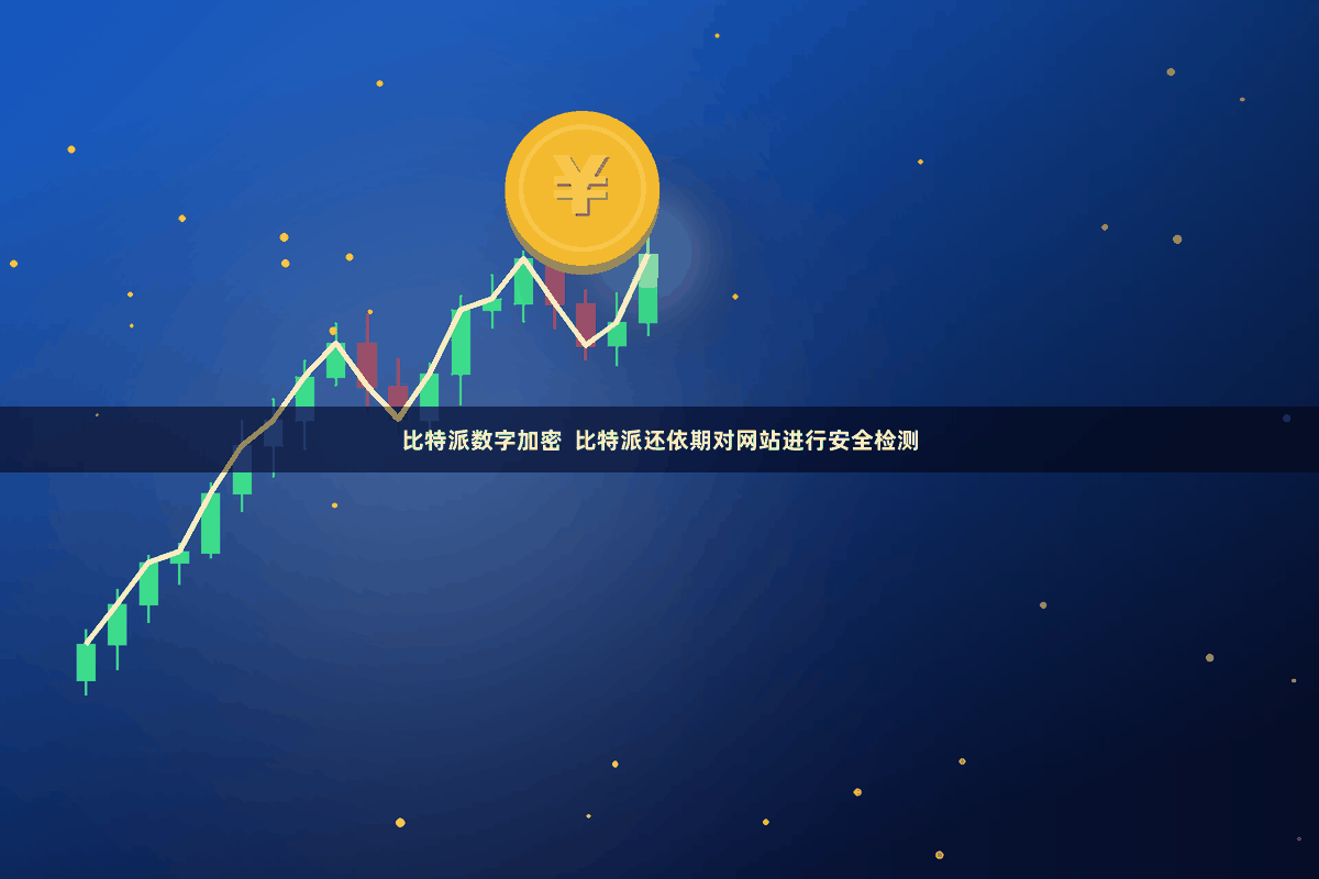 比特派数字加密  比特派还依期对网站进行安全检测